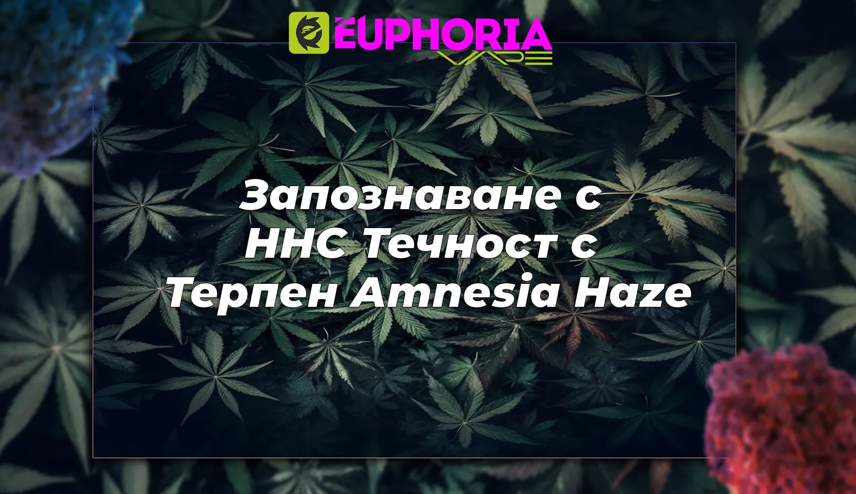 Професионален пълнител за изпарител EEuphoria с HHC за изживяване на euphoria hhc. Този висококачествен пълнител предлага неповторимо усещане за euphoria hhc с марката EEuphoria, водеща в индустрията за вейпинг и канабиноиди.