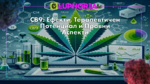 Информативна снимка за блог статия, представящ новият канабиноид CB9 с изображение на конопено листо, химически формули и лабораторно оборудване, подчертаващ научния контекст и потенциала на изследванията на канабиноидите от E-Euphoria Vape